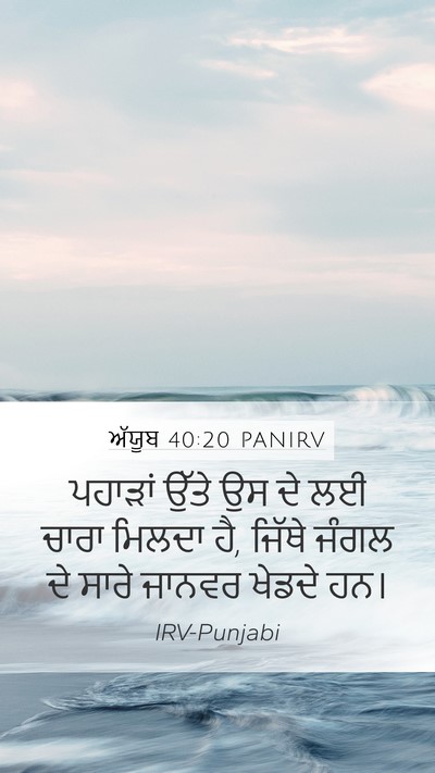 ਅੱਯੂਬ 40:20 PANIRV Bible Verse Image
