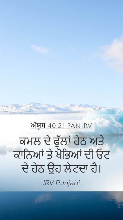 ਅੱਯੂਬ 40:21 PANIRV Bible Verse Image