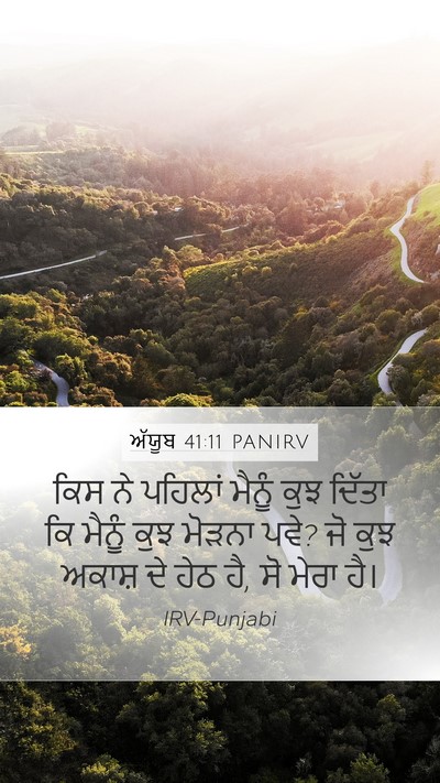 ਅੱਯੂਬ 41:11 PANIRV Bible Verse Image