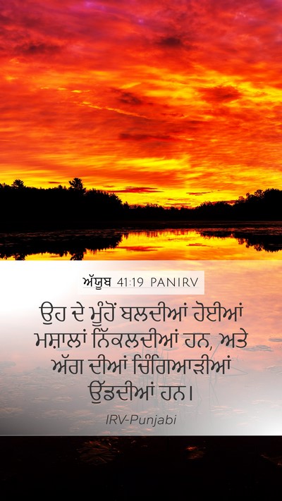 ਅੱਯੂਬ 41:19 PANIRV Mobile Phone Wallpaper - ਉਹ ਦੇ ਮੂੰਹੋਂ - Mobile Bible Verse Wallpaper