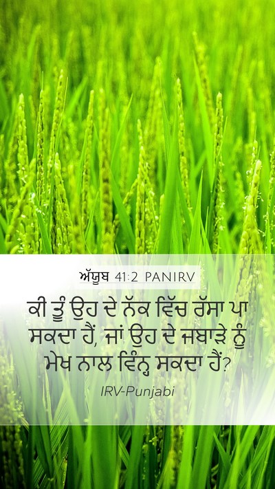 ਅੱਯੂਬ 41:2 PANIRV Bible Verse Image