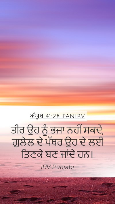 ਅੱਯੂਬ 41:28 PANIRV Bible Verse Image