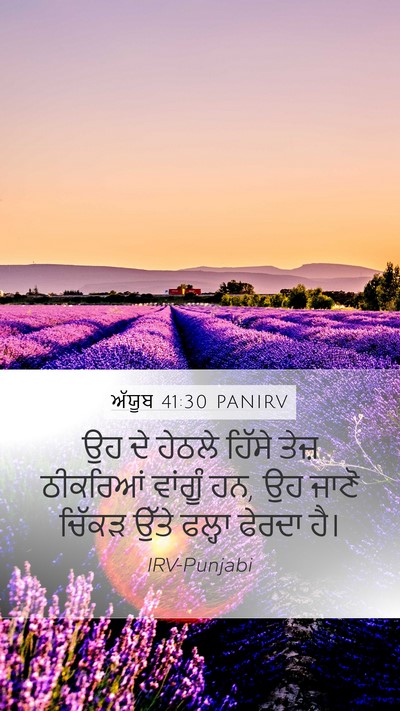 ਅੱਯੂਬ 41:30 PANIRV Mobile Phone Wallpaper - ਉਹ ਦੇ ਹੇਠਲੇ ਹਿੱਸੇ - Mobile Bible Verse Wallpaper