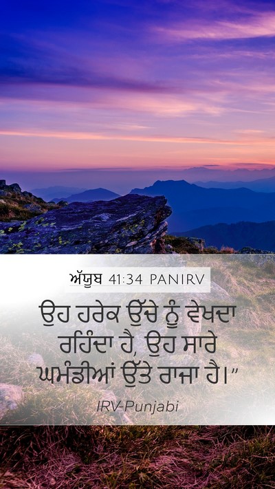 ਅੱਯੂਬ 41:34 PANIRV Bible Verse Image