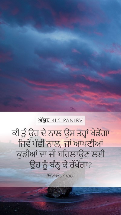 ਅੱਯੂਬ 41:5 PANIRV Mobile Phone Wallpaper - ਕੀ ਤੂੰ ਉਹ ਦੇ ਨਾਲ ਉਸ - Mobile Bible Verse Wallpaper
