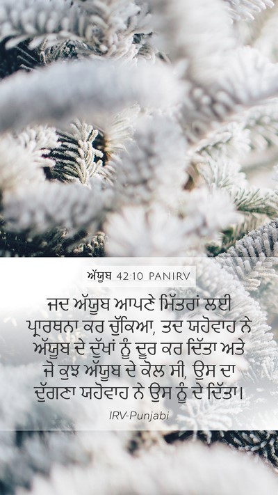 ਅੱਯੂਬ 42:10 PANIRV Bible Verse Image