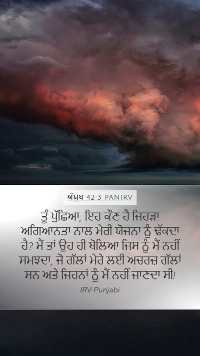 ਅੱਯੂਬ 42:3 PANIRV Bible Verse Image