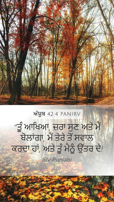 ਅੱਯੂਬ 42:4 PANIRV Bible Verse Image