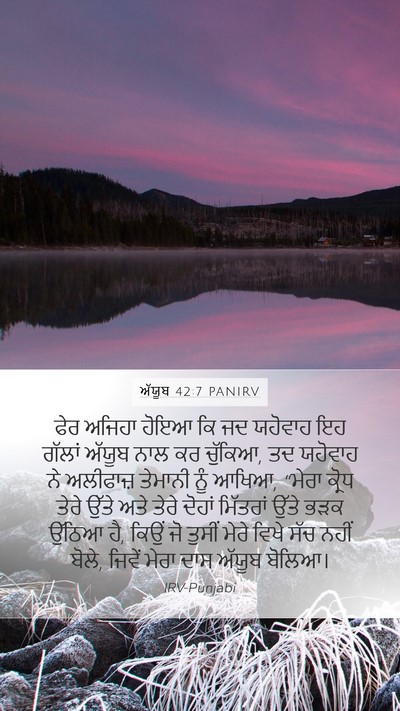 ਅੱਯੂਬ 42:7 PANIRV Bible Verse Image
