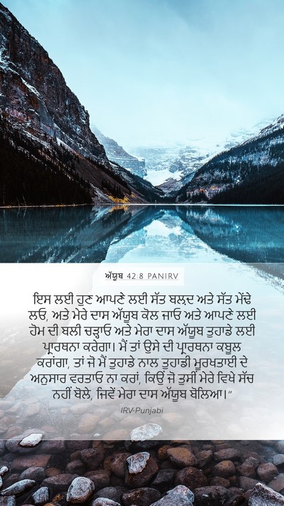 ਅੱਯੂਬ 42:8 PANIRV Bible Verse Image