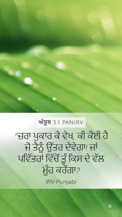 ਅੱਯੂਬ 5:1 PANIRV Mobile Phone Wallpaper - “ਜ਼ਰਾ ਪੁਕਾਰ ਕੇ ਵੇਖ, - Mobile Bible Verse Wallpaper