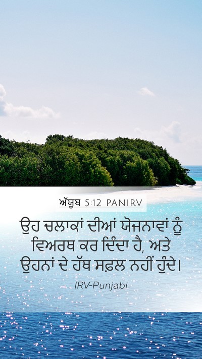 ਅੱਯੂਬ 5:12 PANIRV Bible Verse Image