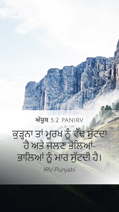 ਅੱਯੂਬ 5:2 PANIRV Bible Verse Image
