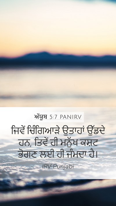 ਅੱਯੂਬ 5:7 PANIRV Bible Verse Image