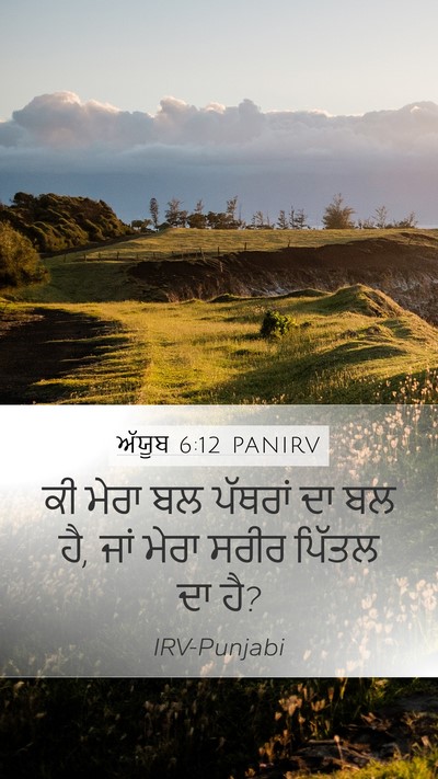 ਅੱਯੂਬ 6:12 PANIRV Bible Verse Image