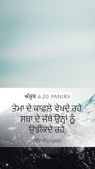 ਅੱਯੂਬ 6:20 PANIRV Bible Verse Image