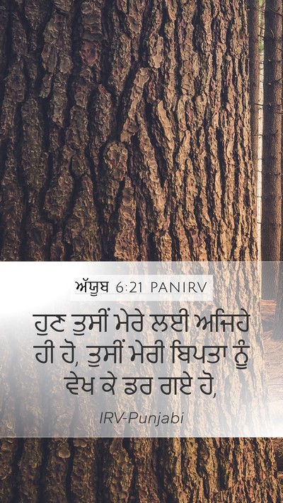 ਅੱਯੂਬ 6:21 PANIRV Bible Verse Image
