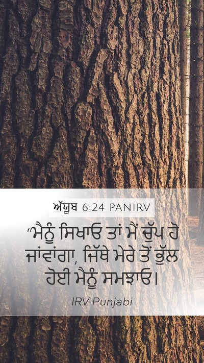 ਅੱਯੂਬ 6:24 PANIRV Bible Verse Image