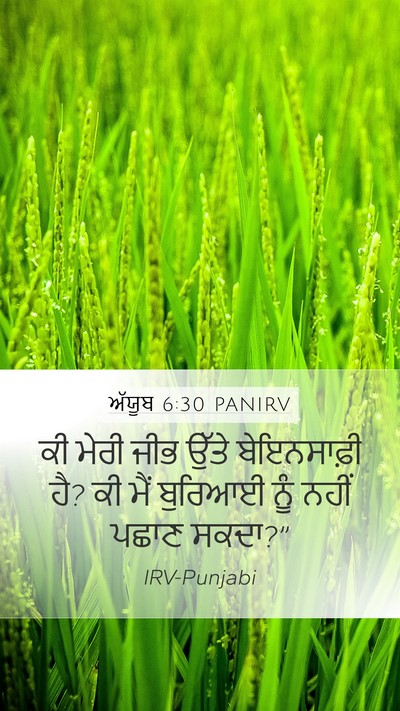 ਅੱਯੂਬ 6:30 PANIRV Bible Verse Image