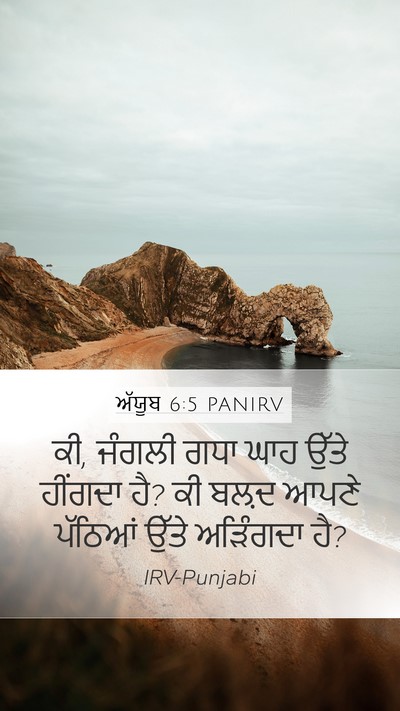 ਅੱਯੂਬ 6:5 PANIRV Bible Verse Image