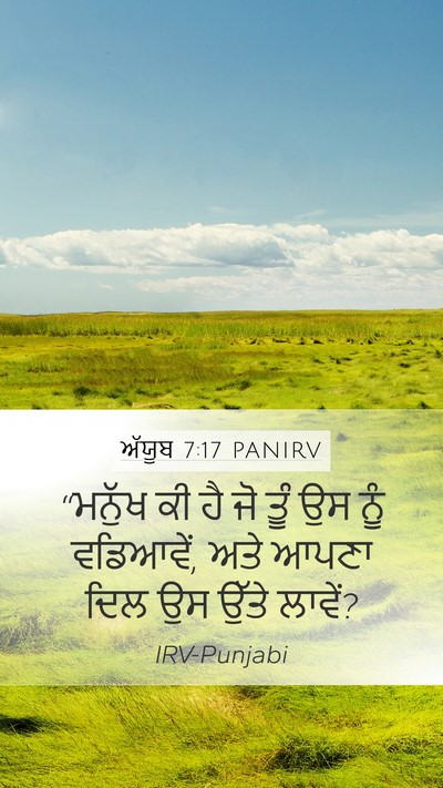 ਅੱਯੂਬ 7:17 PANIRV Bible Verse Image