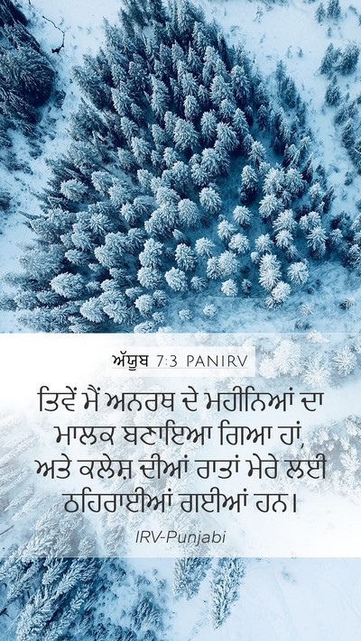 ਅੱਯੂਬ 7:3 PANIRV Bible Verse Image