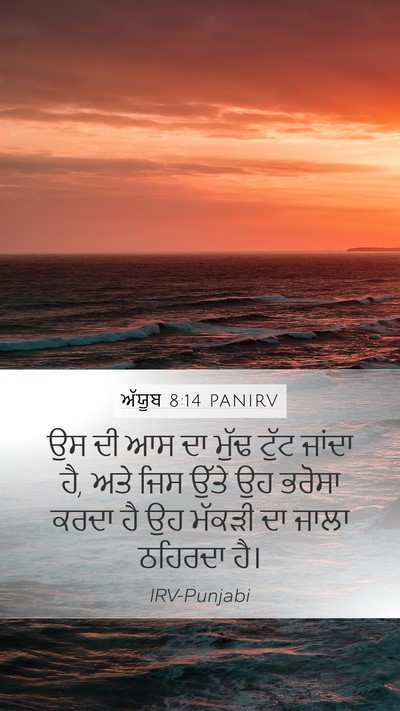 ਅੱਯੂਬ 8:14 PANIRV Bible Verse Image