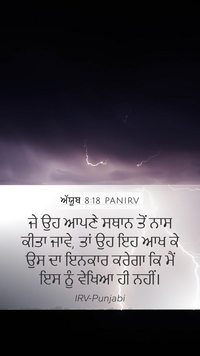 ਅੱਯੂਬ 8:18 PANIRV Bible Verse Image
