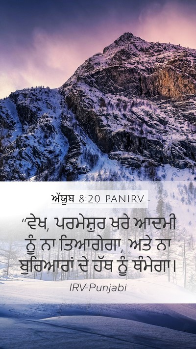 ਅੱਯੂਬ 8:20 PANIRV Bible Verse Image