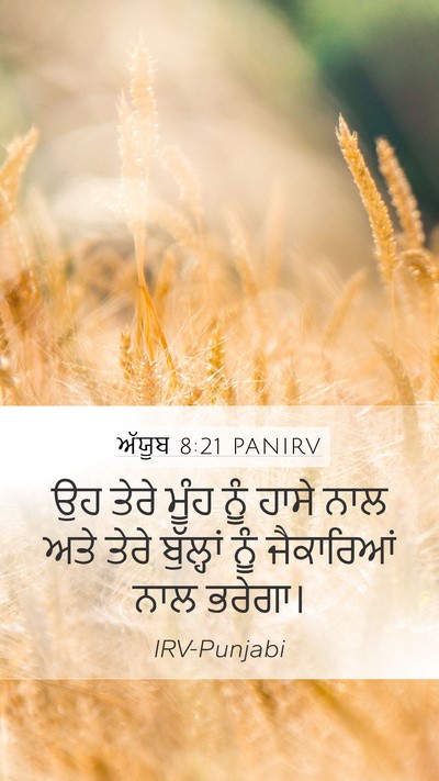 ਅੱਯੂਬ 8:21 PANIRV Bible Verse Image