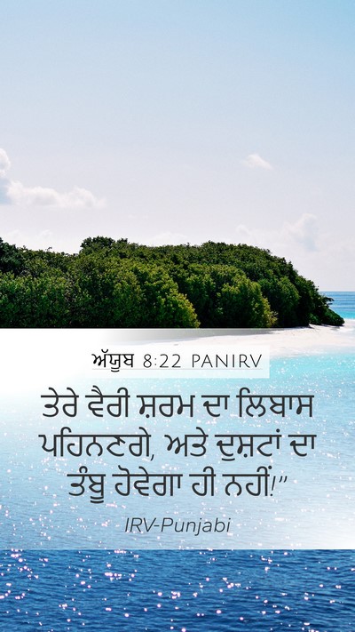 ਅੱਯੂਬ 8:22 PANIRV Bible Verse Image
