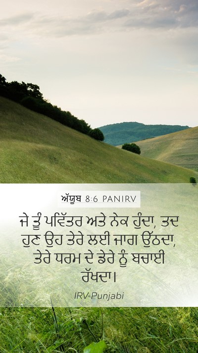 ਅੱਯੂਬ 8:6 PANIRV Bible Verse Image