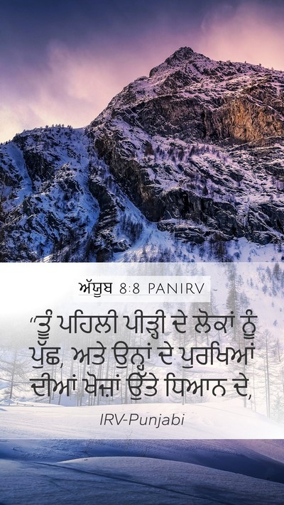 ਅੱਯੂਬ 8:8 PANIRV Bible Verse Image
