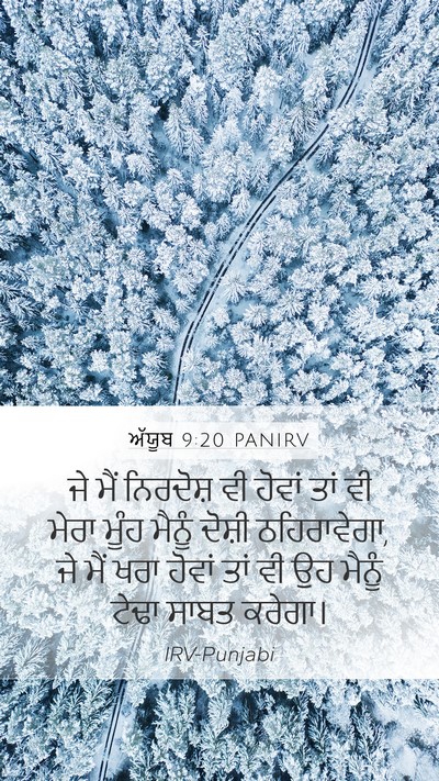 ਅੱਯੂਬ 9:20 PANIRV Bible Verse Image