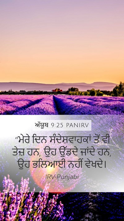 ਅੱਯੂਬ 9:25 PANIRV Bible Verse Image