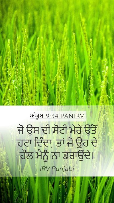 ਅੱਯੂਬ 9:34 PANIRV Bible Verse Image
