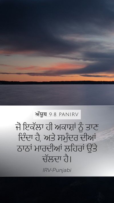 ਅੱਯੂਬ 9:8 PANIRV Bible Verse Image