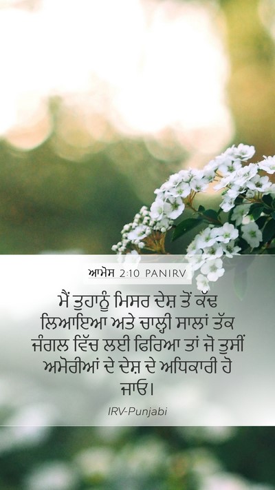 ਆਮੋਸ 2:10 PANIRV Bible Verse Image