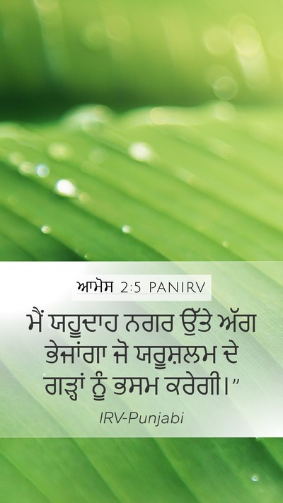 ਆਮੋਸ 2:5 PANIRV Bible Verse Image