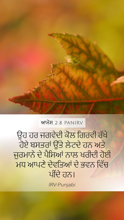 ਆਮੋਸ 2:8 PANIRV Bible Verse Image