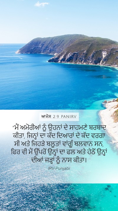 ਆਮੋਸ 2:9 PANIRV Bible Verse Image