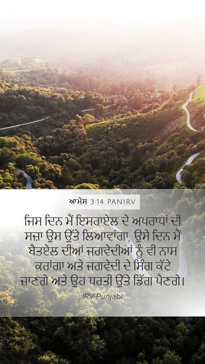 ਆਮੋਸ 3:14 PANIRV Bible Verse Image