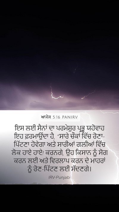 ਆਮੋਸ 5:16 PANIRV Bible Verse Image