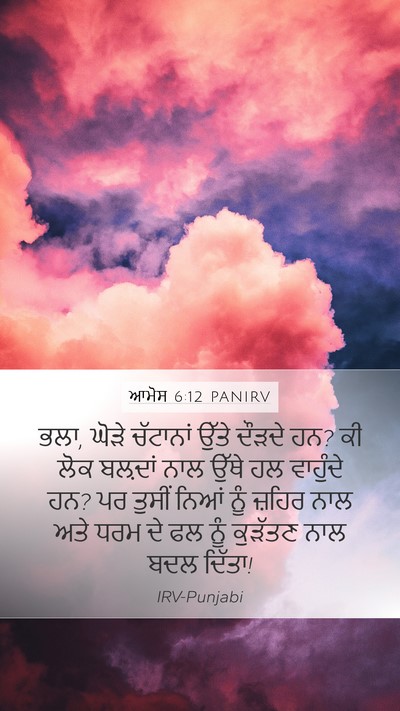 ਆਮੋਸ 6:12 PANIRV Bible Verse Image