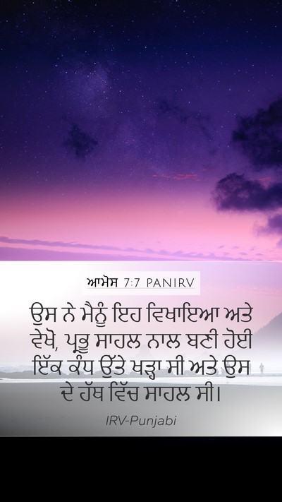 ਆਮੋਸ 7:7 PANIRV Bible Verse Image
