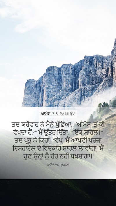 ਆਮੋਸ 7:8 PANIRV Bible Verse Image