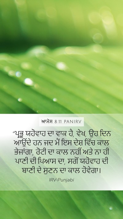 ਆਮੋਸ 8:11 PANIRV Bible Verse Image