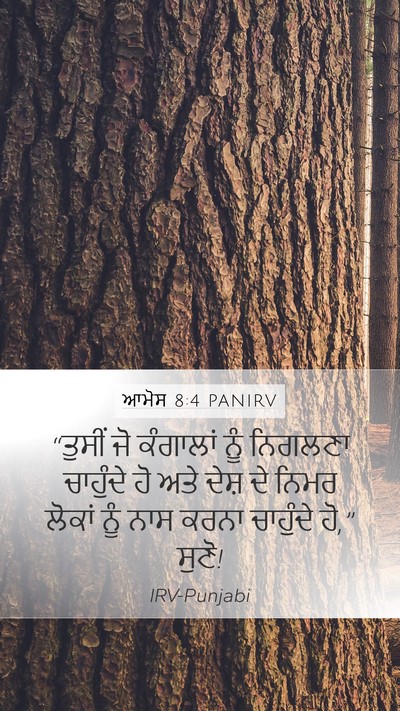 ਆਮੋਸ 8:4 PANIRV Bible Verse Image