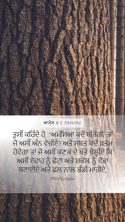 ਆਮੋਸ 8:5 PANIRV Bible Verse Image