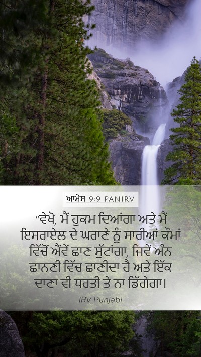 ਆਮੋਸ 9:9 PANIRV Bible Verse Image